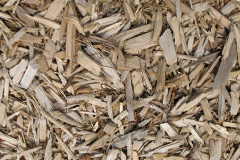 biomass boilers Tir Y Dail